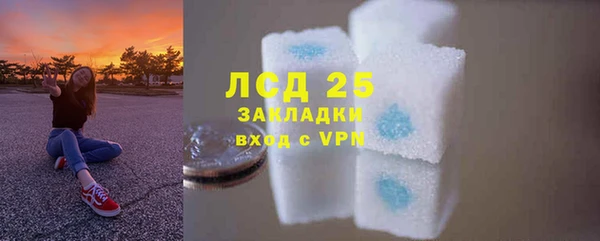 сатива Баксан