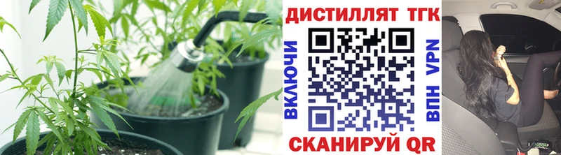 ТГК THC oil цена наркотик Кувандык